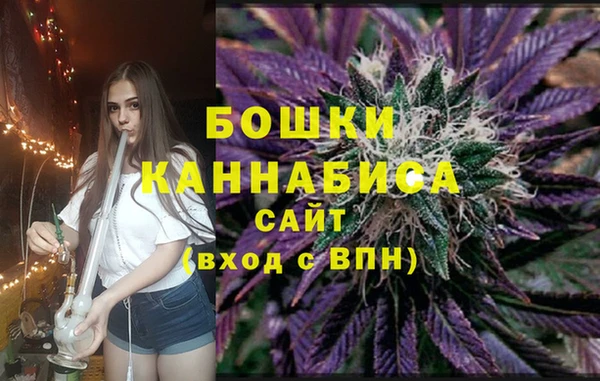 гашик Арсеньев