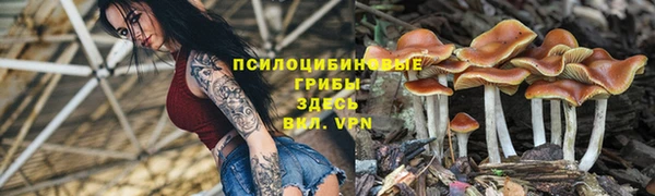 метамфетамин Аркадак