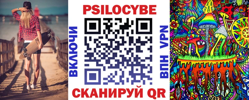 Псилоцибиновые грибы Cubensis Талдом